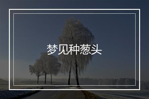 梦见种葱头