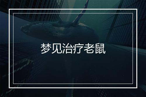 梦见治疗老鼠