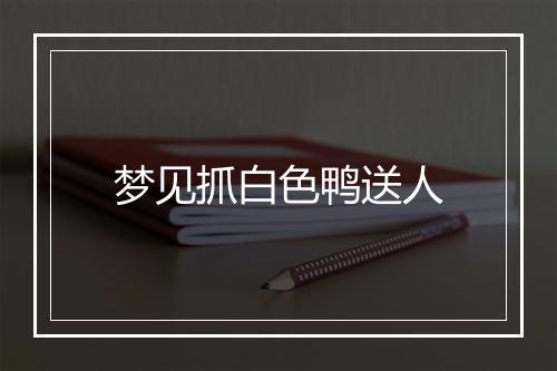 梦见抓白色鸭送人