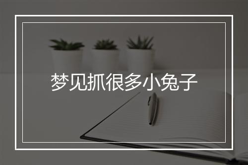 梦见抓很多小兔子