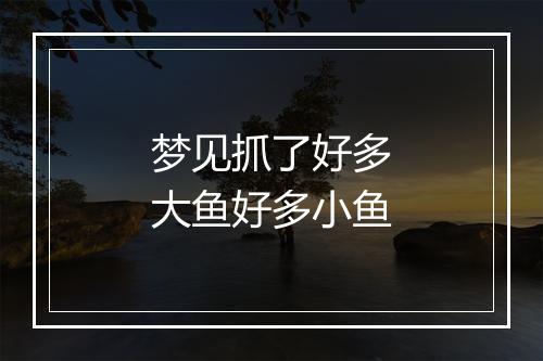 梦见抓了好多大鱼好多小鱼