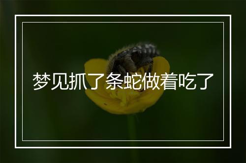 梦见抓了条蛇做着吃了