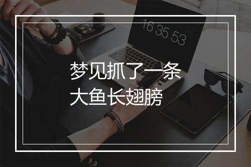 梦见抓了一条大鱼长翅膀