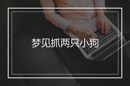 梦见抓两只小狗