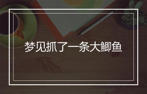 梦见抓了一条大鲫鱼