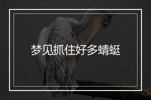 梦见抓住好多蜻蜓