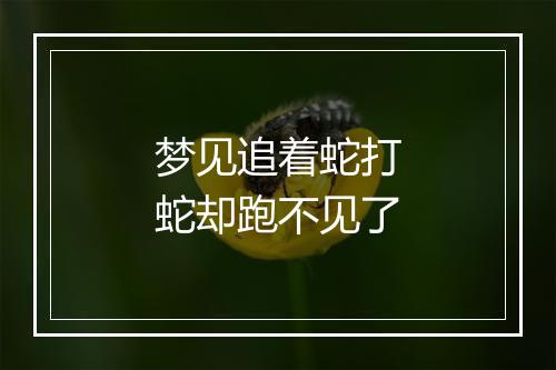 梦见追着蛇打蛇却跑不见了