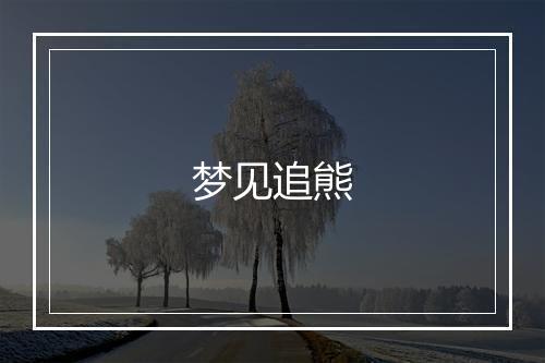 梦见追熊