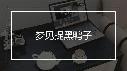 梦见捉黑鸭子