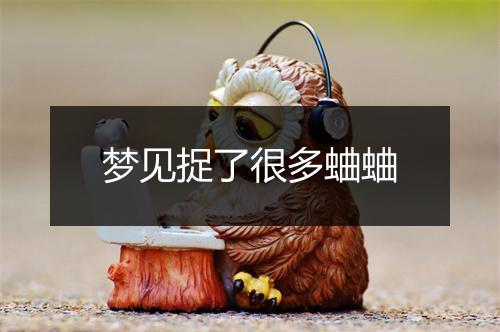 梦见捉了很多蛐蛐