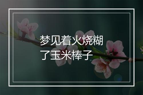 梦见着火烧糊了玉米棒子