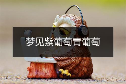 梦见紫葡萄青葡萄