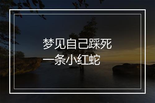 梦见自己踩死一条小红蛇