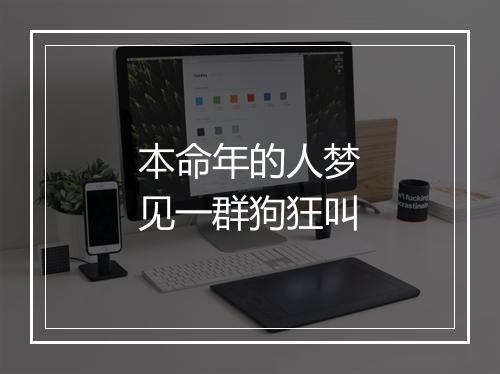 本命年的人梦见一群狗狂叫