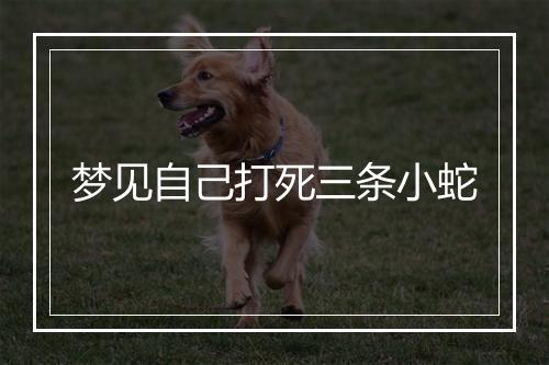 梦见自己打死三条小蛇