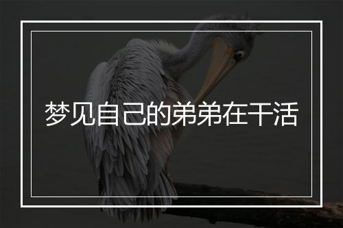 梦见自己的弟弟在干活