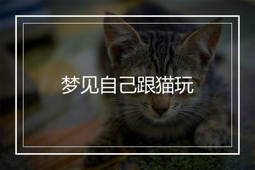 梦见自己跟猫玩