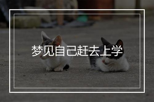 梦见自己赶去上学