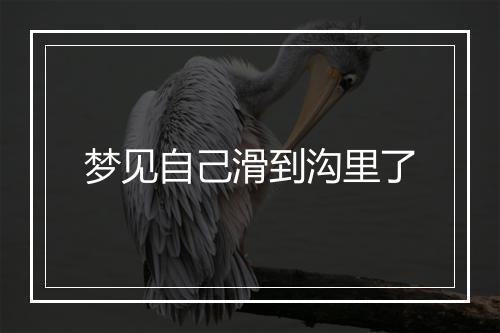 梦见自己滑到沟里了