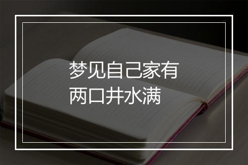 梦见自己家有两口井水满