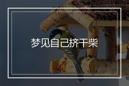 梦见自己挤干柴