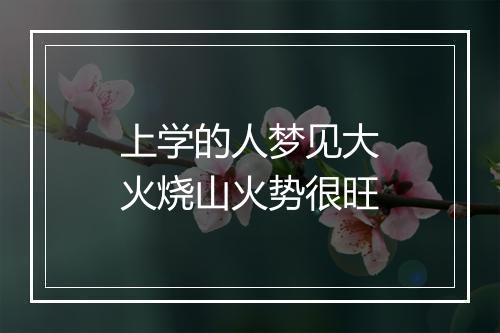 上学的人梦见大火烧山火势很旺