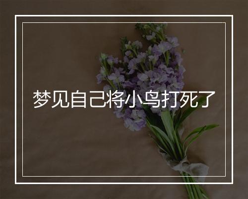 梦见自己将小鸟打死了