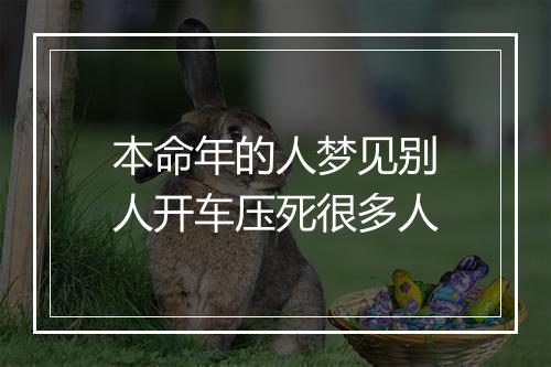 本命年的人梦见别人开车压死很多人