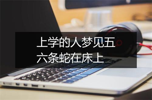 上学的人梦见五六条蛇在床上