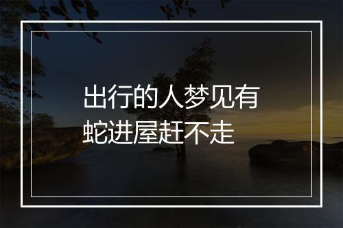 出行的人梦见有蛇进屋赶不走