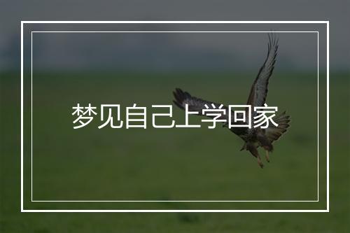 梦见自己上学回家