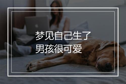 梦见自己生了男孩很可爱