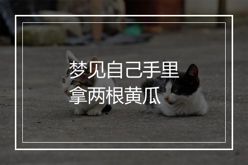 梦见自己手里拿两根黄瓜