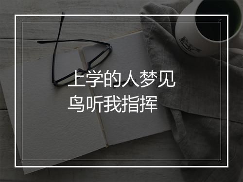 上学的人梦见鸟听我指挥