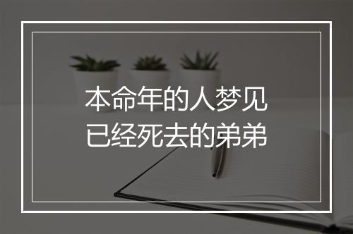 本命年的人梦见已经死去的弟弟