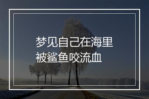 梦见自己在海里被鲨鱼咬流血