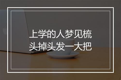 上学的人梦见梳头掉头发一大把