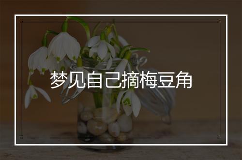 梦见自己摘梅豆角