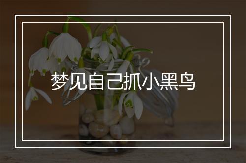 梦见自己抓小黑鸟