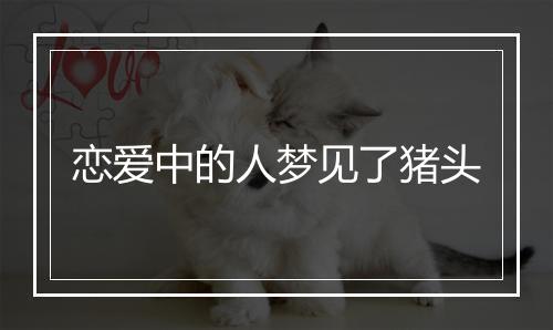 恋爱中的人梦见了猪头