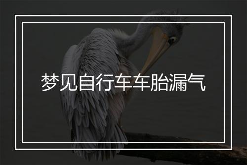 梦见自行车车胎漏气