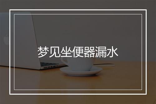 梦见坐便器漏水