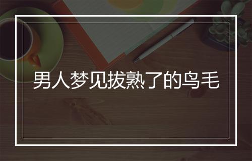 男人梦见拔熟了的鸟毛