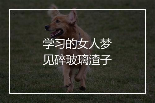 学习的女人梦见碎玻璃渣子