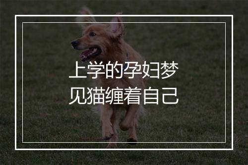 上学的孕妇梦见猫缠着自己