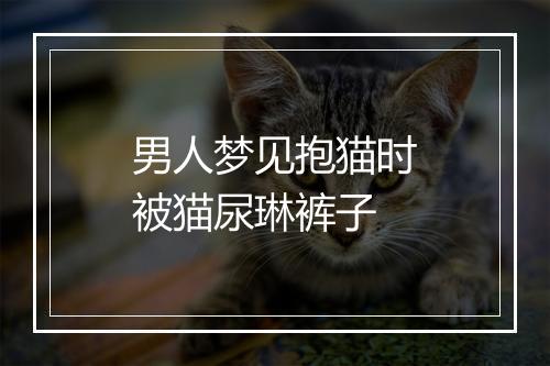 男人梦见抱猫时被猫尿琳裤子