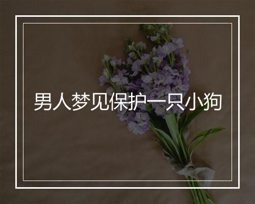 男人梦见保护一只小狗