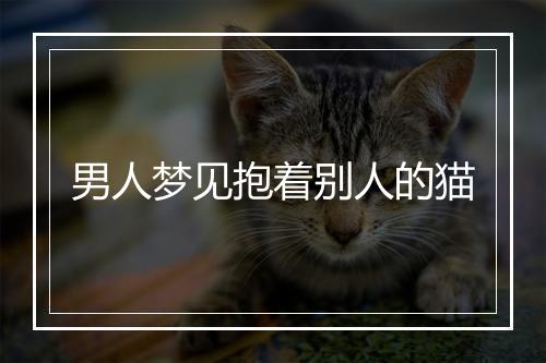 男人梦见抱着别人的猫