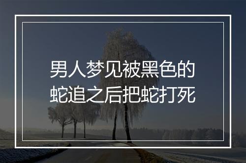 男人梦见被黑色的蛇追之后把蛇打死