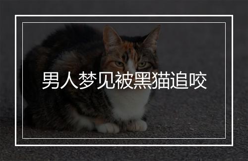 男人梦见被黑猫追咬